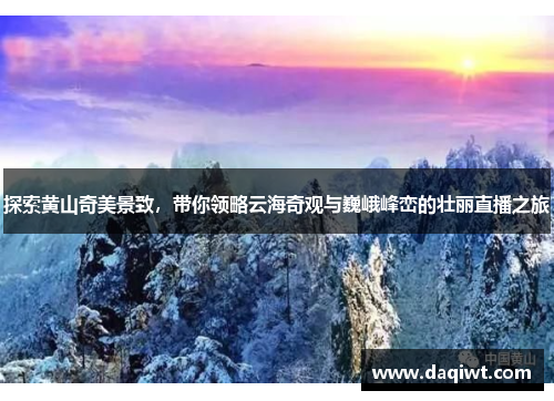 探索黄山奇美景致，带你领略云海奇观与巍峨峰峦的壮丽直播之旅