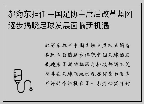 郝海东担任中国足协主席后改革蓝图逐步揭晓足球发展面临新机遇